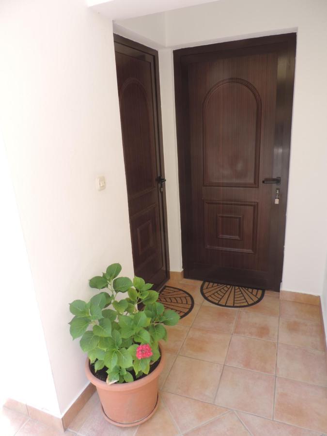 Apartmani Lavanda 파그 객실 사진
